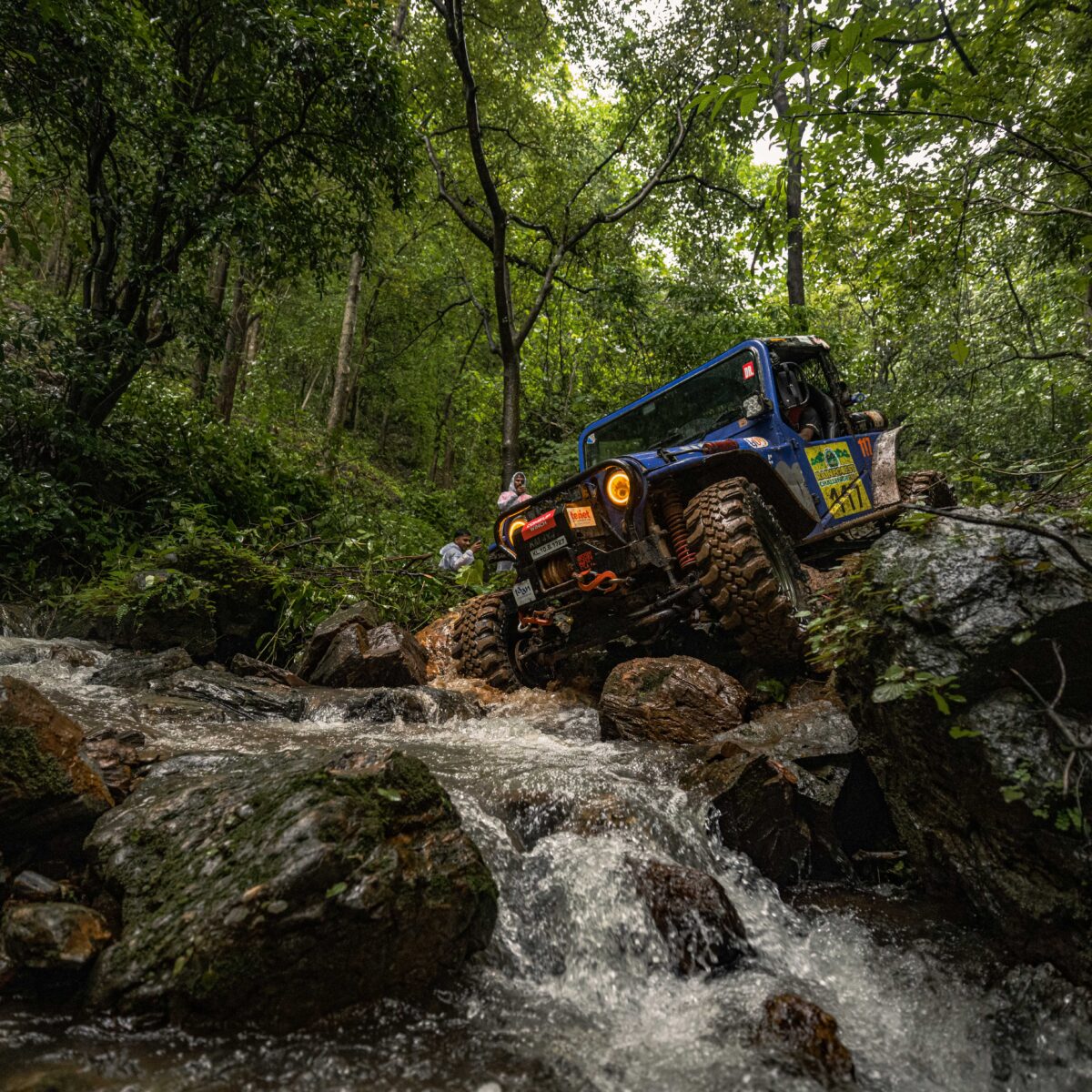Rain Forest Challenge